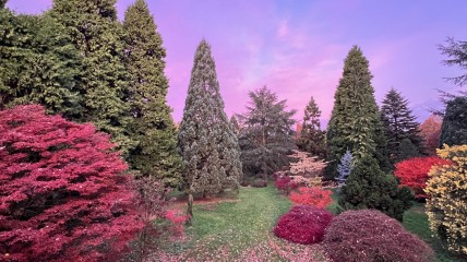 Bezoek aan arboretum en Jaïn tempel
