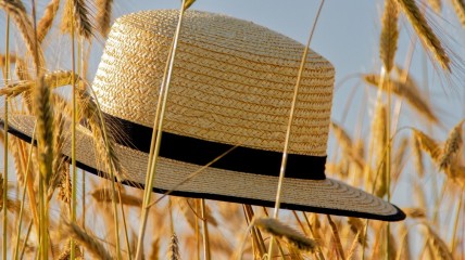 Davidsfonds Zomerzoektocht 2026